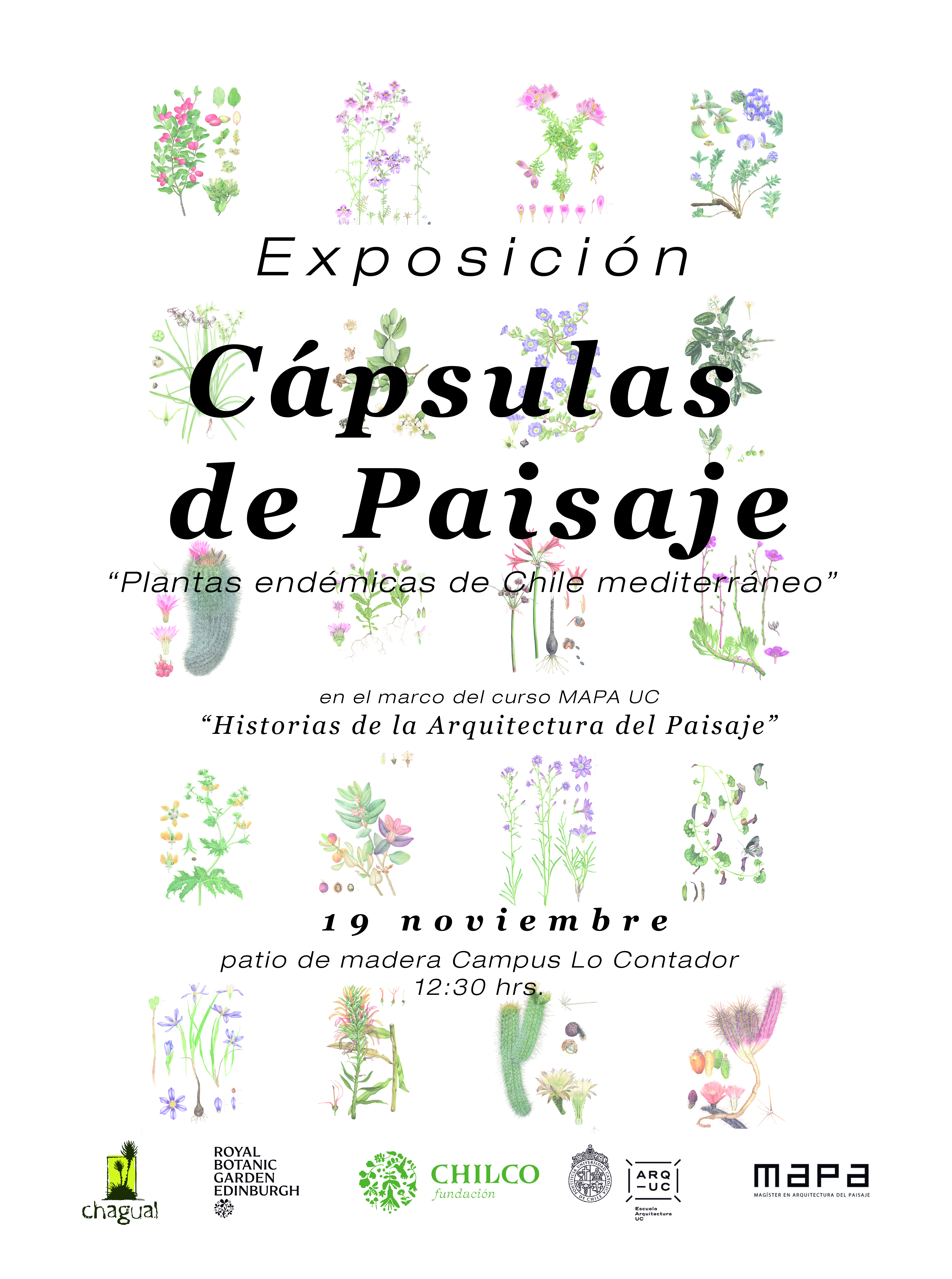 expocapsulas_IG_PUBLICACION.jpg